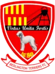 Bedlington Terriers FC